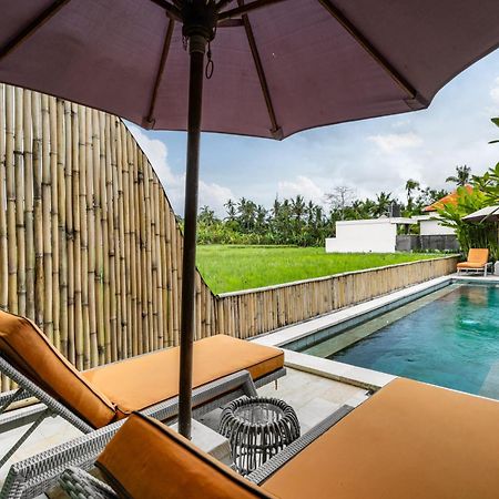 Villa Hatchi By Balisuperhost Ubud Zewnętrze zdjęcie